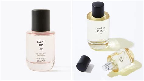 m&s dupe perfumes|m&co shopping online.